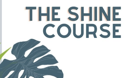 The Shine Course is back